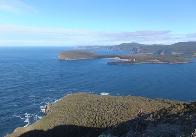 Mount Brown Walking Track