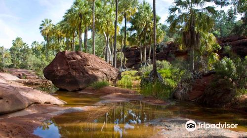 Finke Gorge National Park