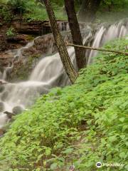 Weaver's Creek Falls Trail
