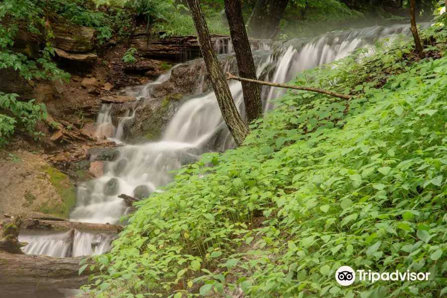 Weaver's Creek Falls Trail