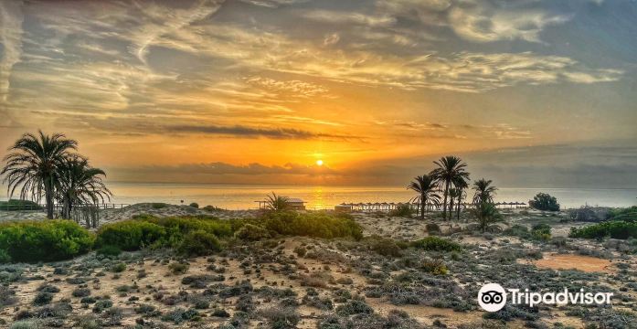 Playa del Carabassí