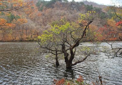 주산지