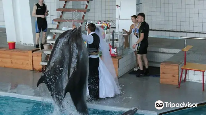 2_Dolphinarium Naberezhnye Chelny