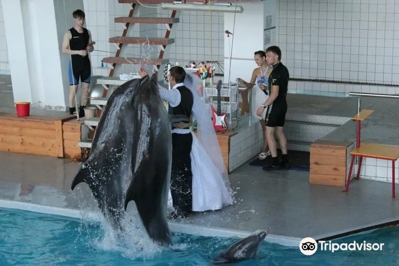 2_Dolphinarium Naberezhnye Chelny