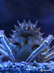 克里特水族館