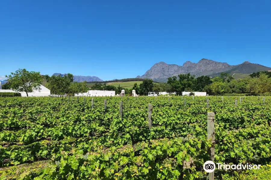 Babylonstoren