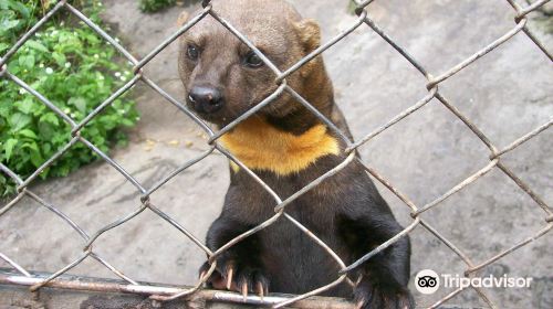 Zoologico de San Martin