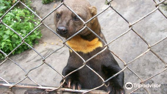 Zoologico de San Martin