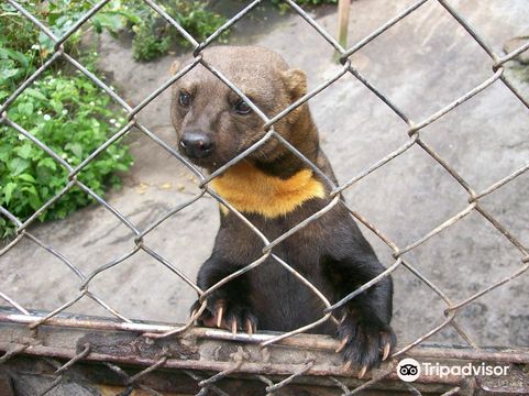 Zoologico de San Martin