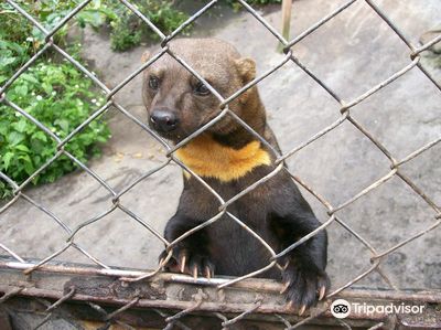 Zoologico de San Martin