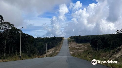 Bokor National Park