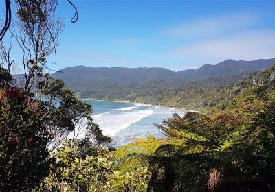 Tuatapere Hump Ridge Track