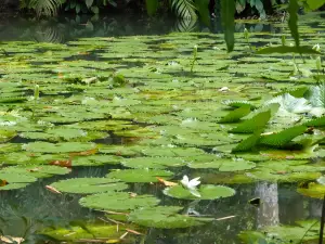 Parque Zoobotanico Arruda Camara