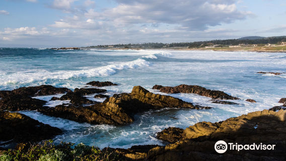 Fanshell Beach outlook