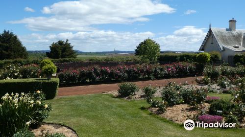 National Rose Garden