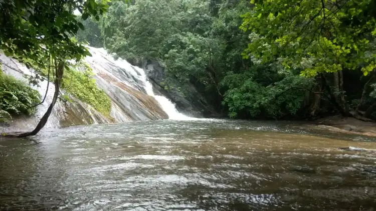 Hotels near Dhoni Waterfalls