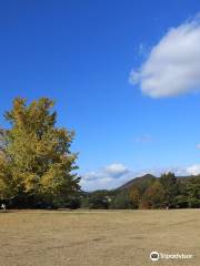 Manabi no Mori Park