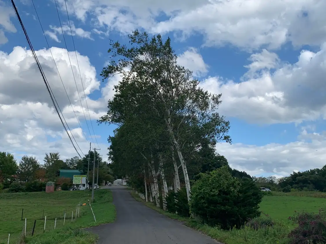 Các khách sạn gần Heidi Farm