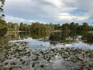Traralgon Railway Reservoir Conservation Reserve