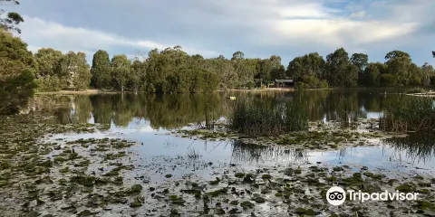 Traralgon Railway Reservoir Conservation Reserve