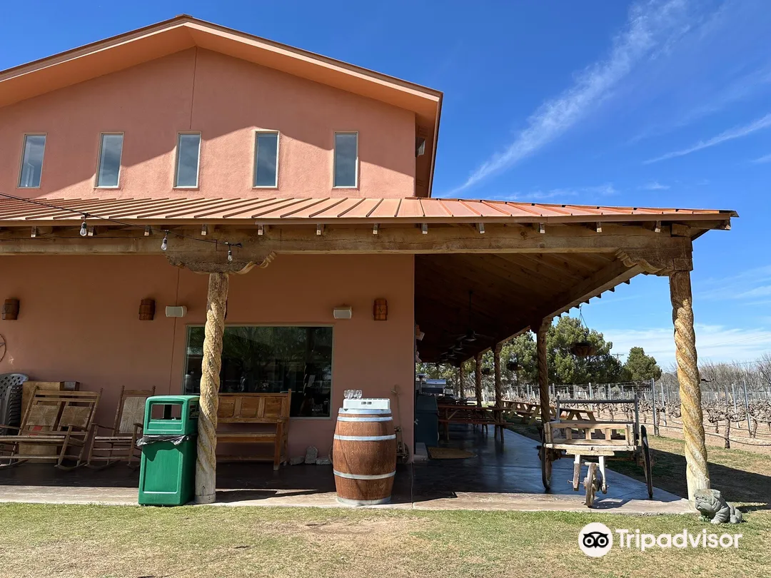 1_Zin Valle Vineyards