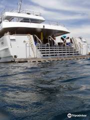 Calypso Reef Cruises