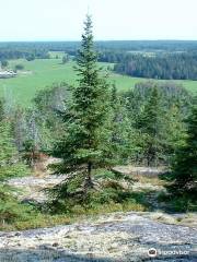 Powassan Mountain Conservation Area