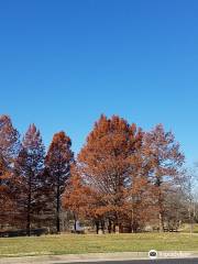 City Centre Park