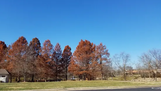 City Centre Park