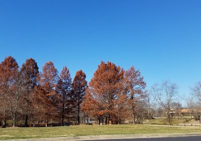 City Centre Park