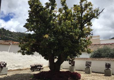 Museo de Arte Moderno Ramirez Villamizar