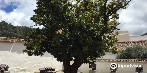 Museo de Arte Moderno Ramirez Villamizar