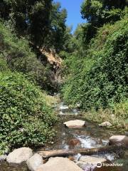 Parque Natural Aguas de Ramón