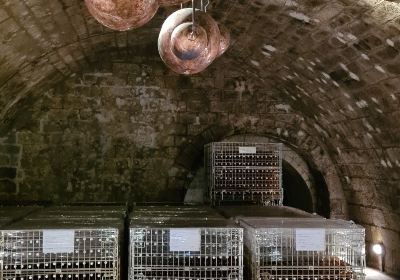 Holdvolgy Cellar Experience