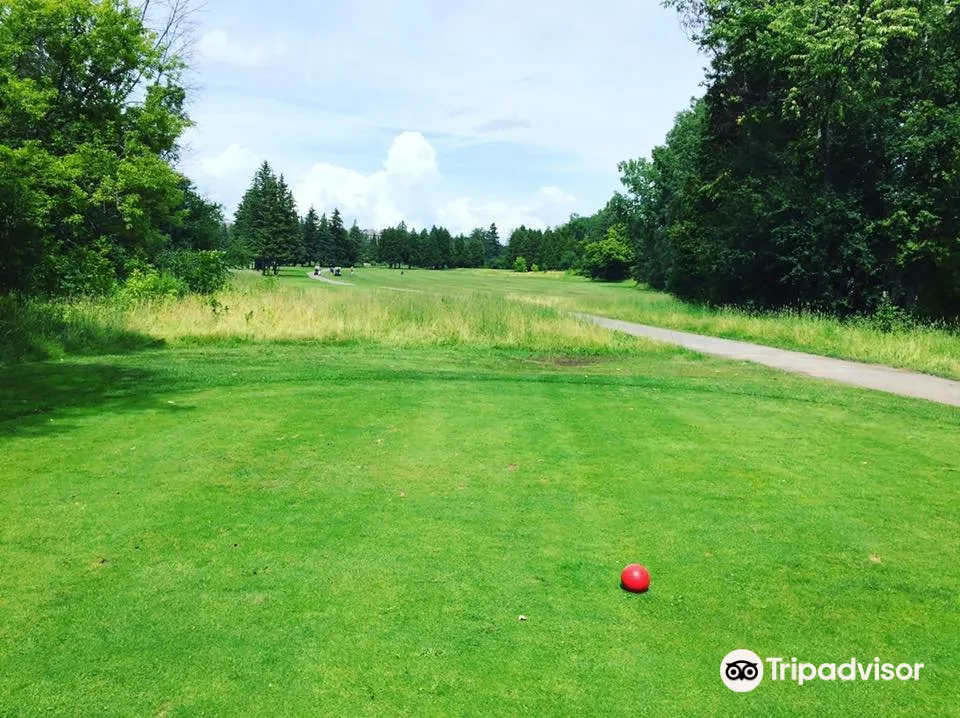 5_Cartier Golf Château