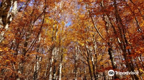 Parco Monti Simbruini