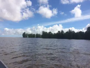 Parque Nacional do Cabo Orange