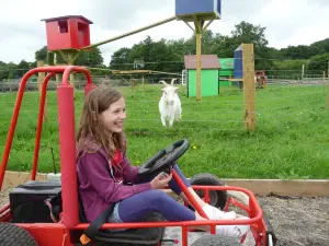 4 Kingdoms Adventure Park & Family Farm