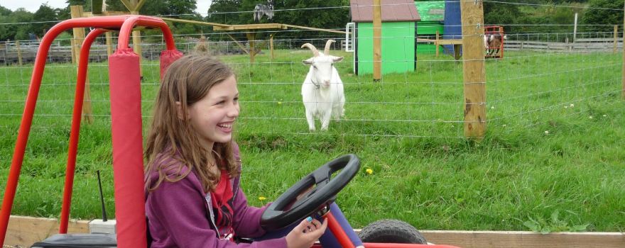 4 Kingdoms Adventure Park & Family Farm