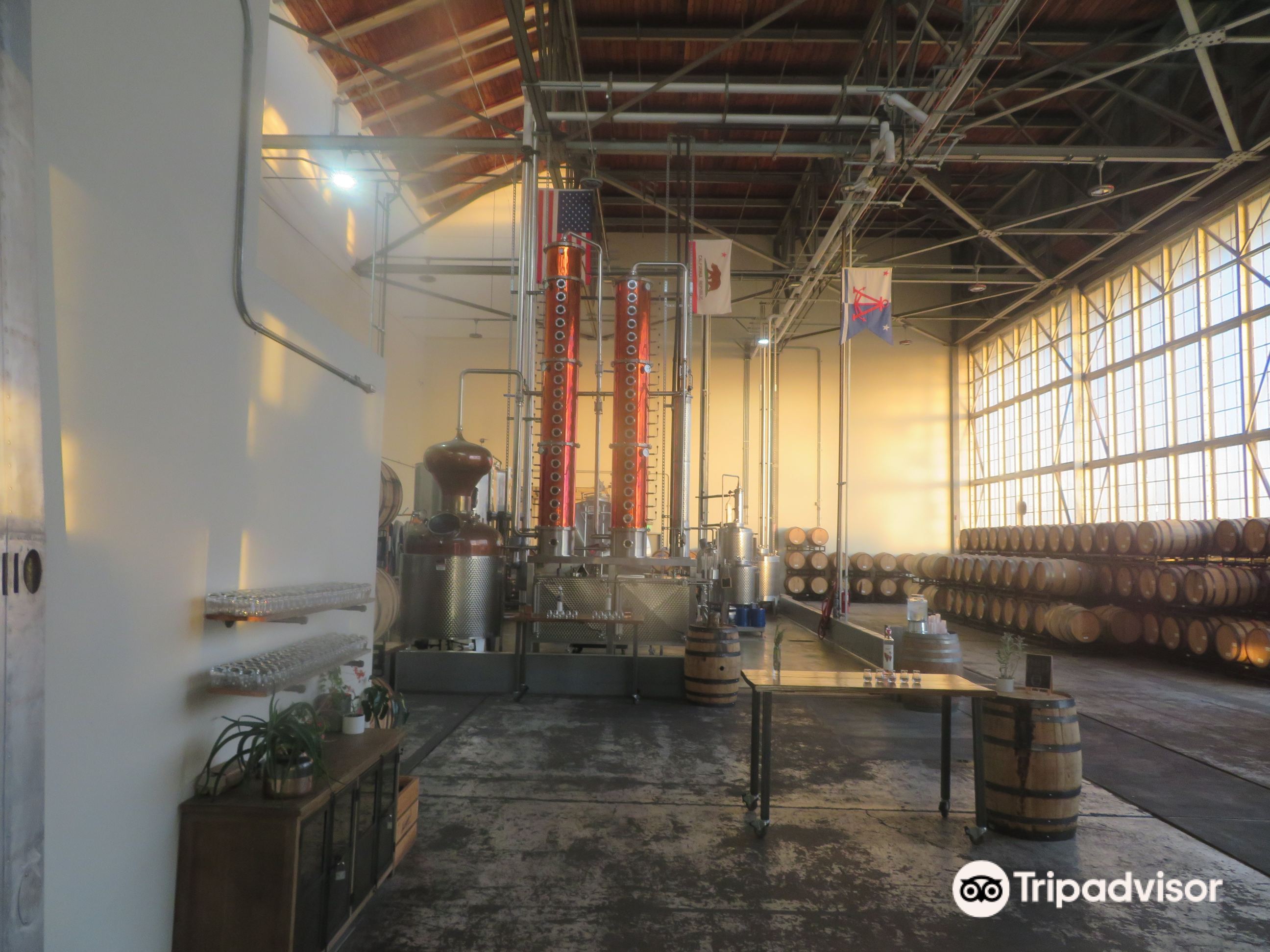 Hangar 1 Fog Point Vodka (행거 1 포그 포인트 보드카)