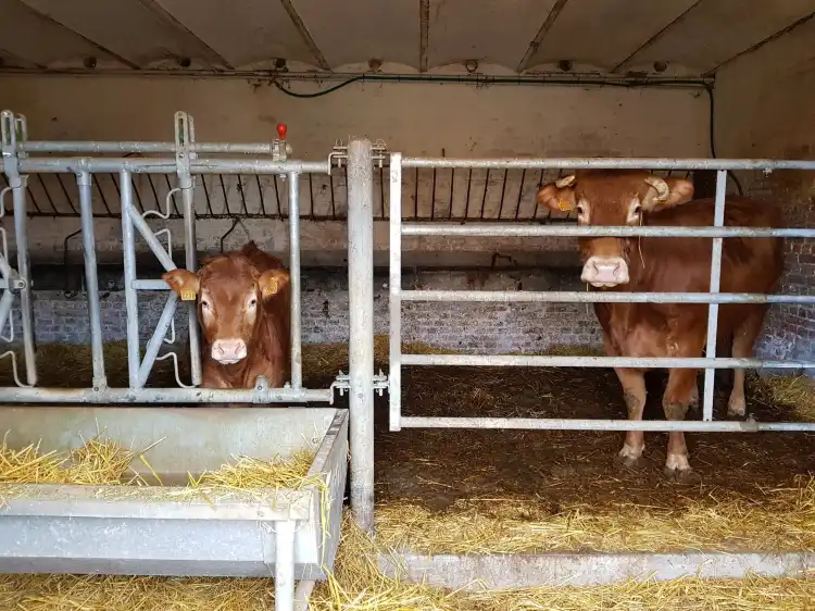 Các khách sạn ở Maretz