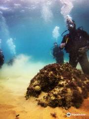 BCN Diving