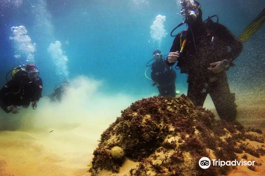 BCN Diving