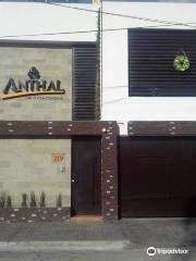 Anthal Spa