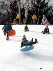 Sault Seal Recreation Area