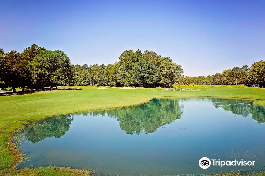 Pine Dunes Golf Course