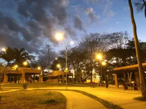 Bosque Municipal De Ouro Preto Do Oeste