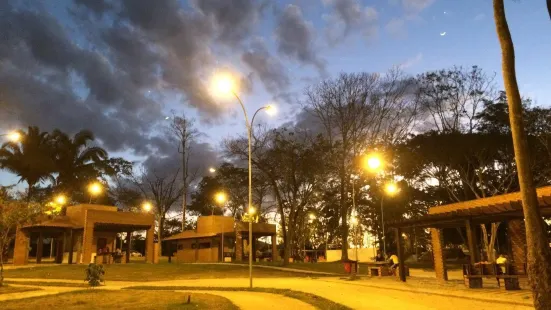 Bosque Municipal De Ouro Preto Do Oeste