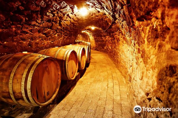 Tokaj