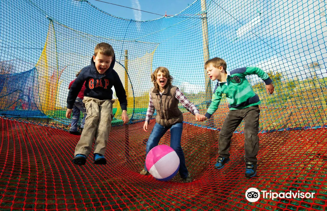 2_Cream o' Galloway Ice Cream